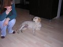 Iarna 2009 021